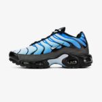 "Nike Air Max Plus" sportiniai bateliai " Light Blue - - komfortas ir stilius